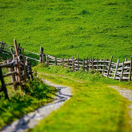 Fischer * Твенг